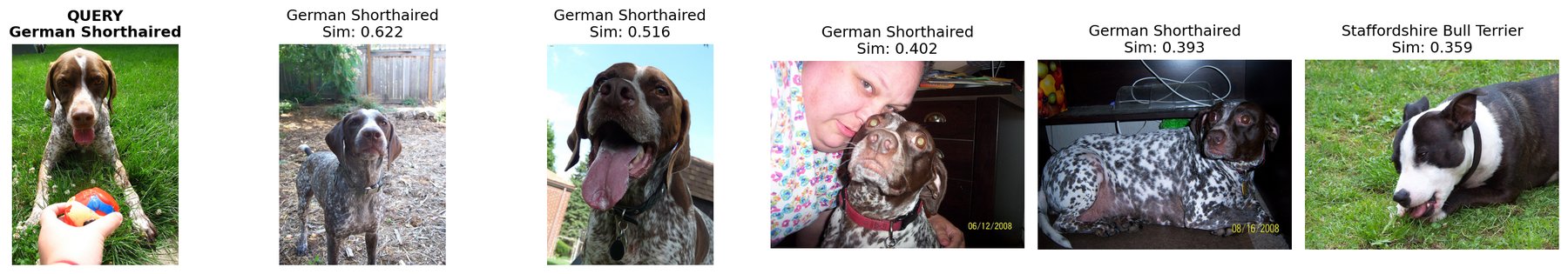 Vector search results — query image on the left, top-5 nearest neighbors on the right